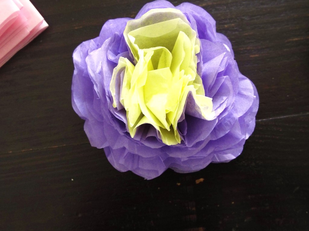 purple and yellow tissue flower